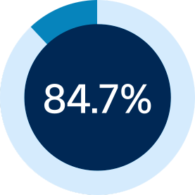Pie chart icon with 84.7% in middle.